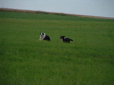 image10