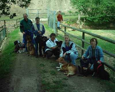 image15