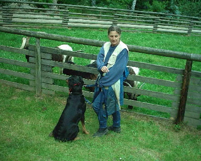 image17